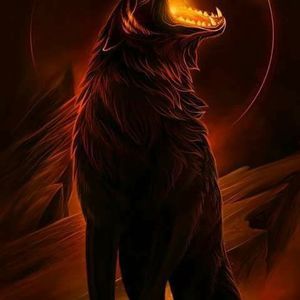 Meet your Posher, Malcolm